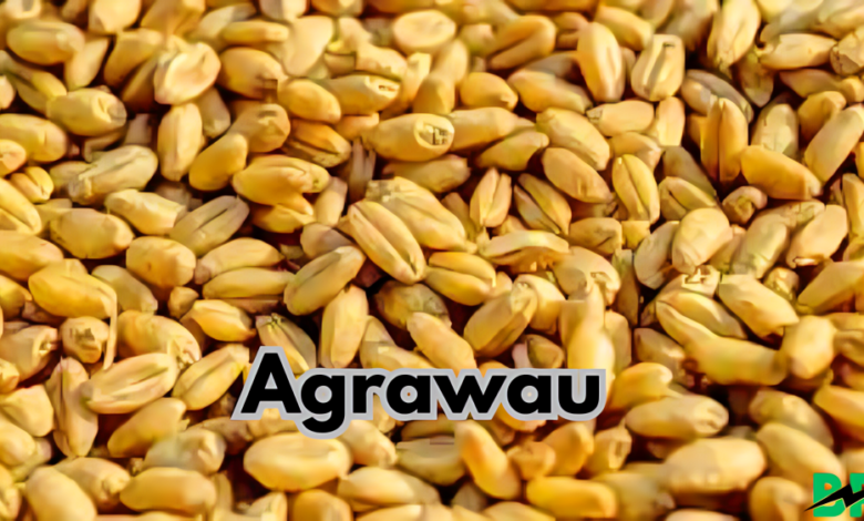 Agrawau