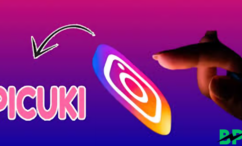 Picuki