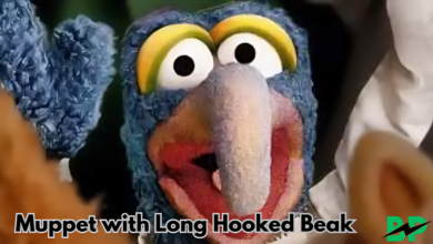 Muppet with Long Hooked Beak