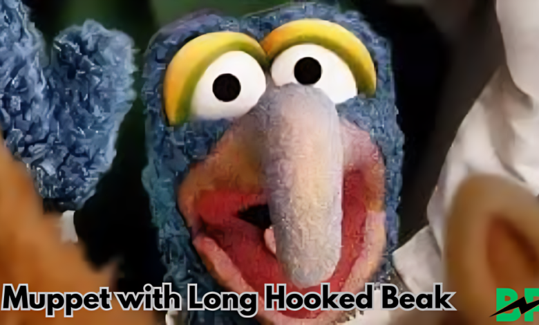 Muppet with Long Hooked Beak