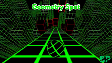 Geometry Spot