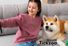 Tickzoo