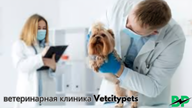 ветеринарная клиника Vetcitypets