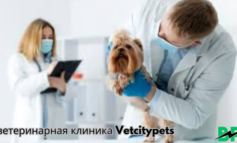 ветеринарная клиника Vetcitypets